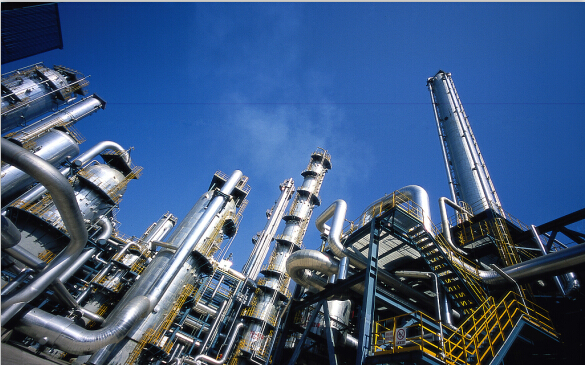 2019�Ї��x���x��W(xu��)���W(xu��)�g(sh��)����ھ�¡���e�k