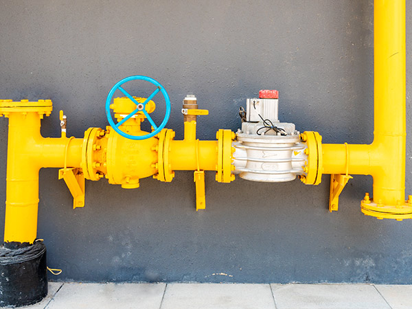 ���y�T��Ͷ�a(ch��n)ǰ�ľS�o����