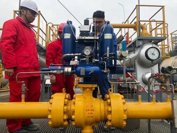 �~��ɭ��(chu��ng)��������(zh��)������׌ÿһ���ܾ��\�и���ȫ