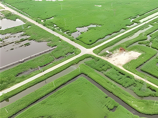 ����Gɫ��̼���� ���Gɫ�l(f��)չ�ġ��������